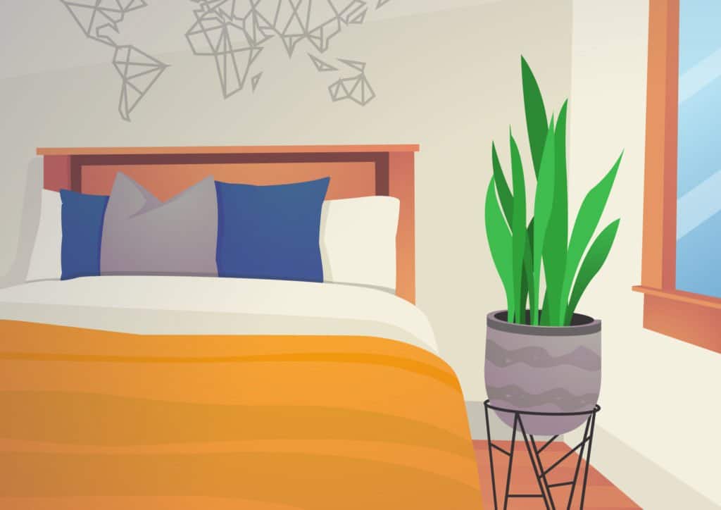Pflanzen im Schlafzimmer - sind sie gesundheitsfördernd oder gesundheigsschädlich?